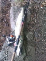 /album/fotky/stika-brno-jpg/